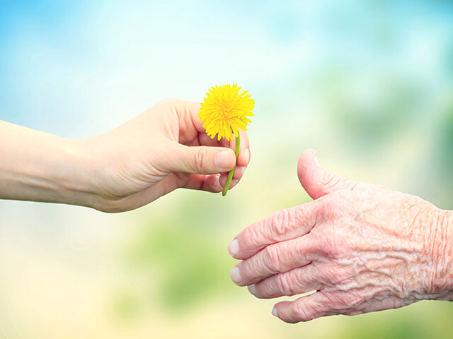 image of a young woman giving a dandelion to senior woman